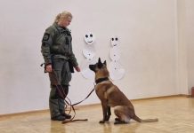 Aruküla algklassilastele tutvustati politseikoerte tööd