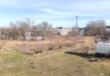 Aiamaadest Kuusalu alevikus koguduse maal