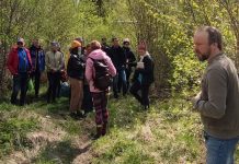 Aegviidus tuleb põdrakanepifestival