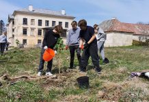 Tallinna Toomkooli õpilased istutasid Kolga mõisa kastaniallee