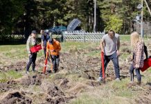 Alexela kollektiiv istutas Valklas puid