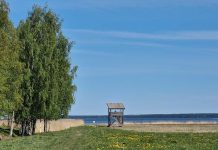 Kõige rohkem linnuliike nähti Vihasoo tornis