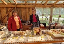 Alaveres avati 5 kodukohvikut