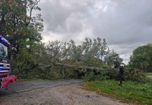 Torm jättis paljud külad elektrita