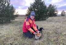 Loodusgiid ENE RIIBERG: „Metsas on lehter-kukeseeni veel palju.“