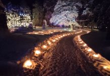 Pikavere mõisapargi valguspeost said osa sajad inimesed