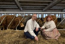 Eesti parimad lihaveisekasvatajad on Turbuneeme lauda omanikud DIANA ja ARNO PÄRNA