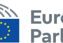 Euroopa Parlamendi valimiste esialgsed tulemused