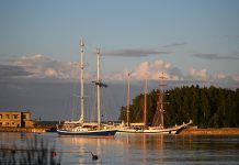 Tall Ship Races tõi Hara sadamasse 22 purjelaeva