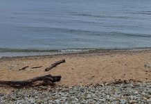 Suplusvee kvaliteet Ida-Harju randades