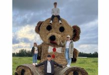 Anija-Kehra tee ääres püüab pilke heinapallidest karu