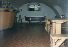 AADIK – Kolga mõisa valitsejamaja keldribaari nähtamatu elanik