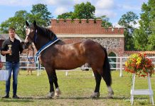 Ida-Harjumaal on tänavu Eesti kolm parimat põllumajandusloomade tõuaretajat