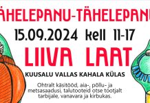 Liiva laadal oli taas müüjaid rekordarv – ligi 150