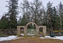 Kuusalu kalmistul hakatakse kuivanud puid langetama