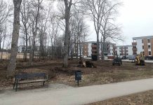 Arukülla hakati koerteparki rajama