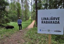 Põhja-Kõrvemaal sai valmis riigitoetuse eest rajatud Linajärve laudtee