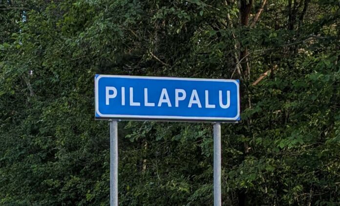 Pillapalu2
