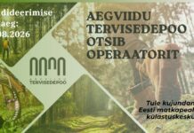 Aegviidu tervisedepoole otsitakse operaatorit